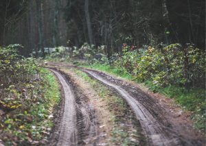 Noodweg